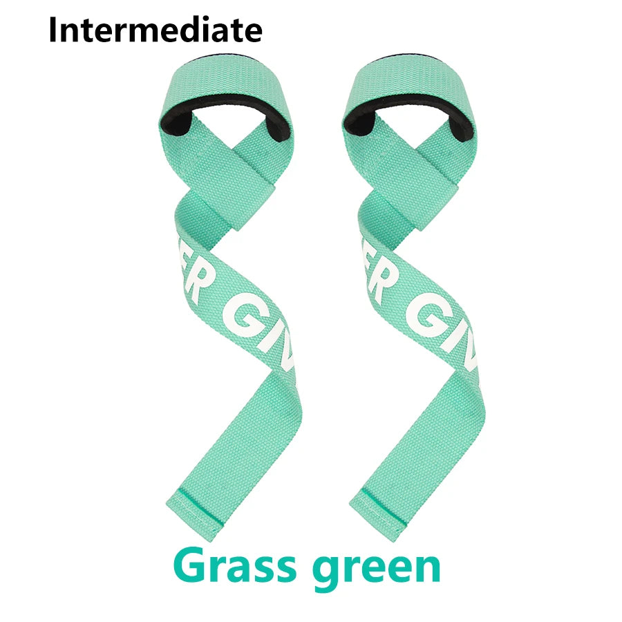 S45eca296c836425a9eac3c3018cc7804n