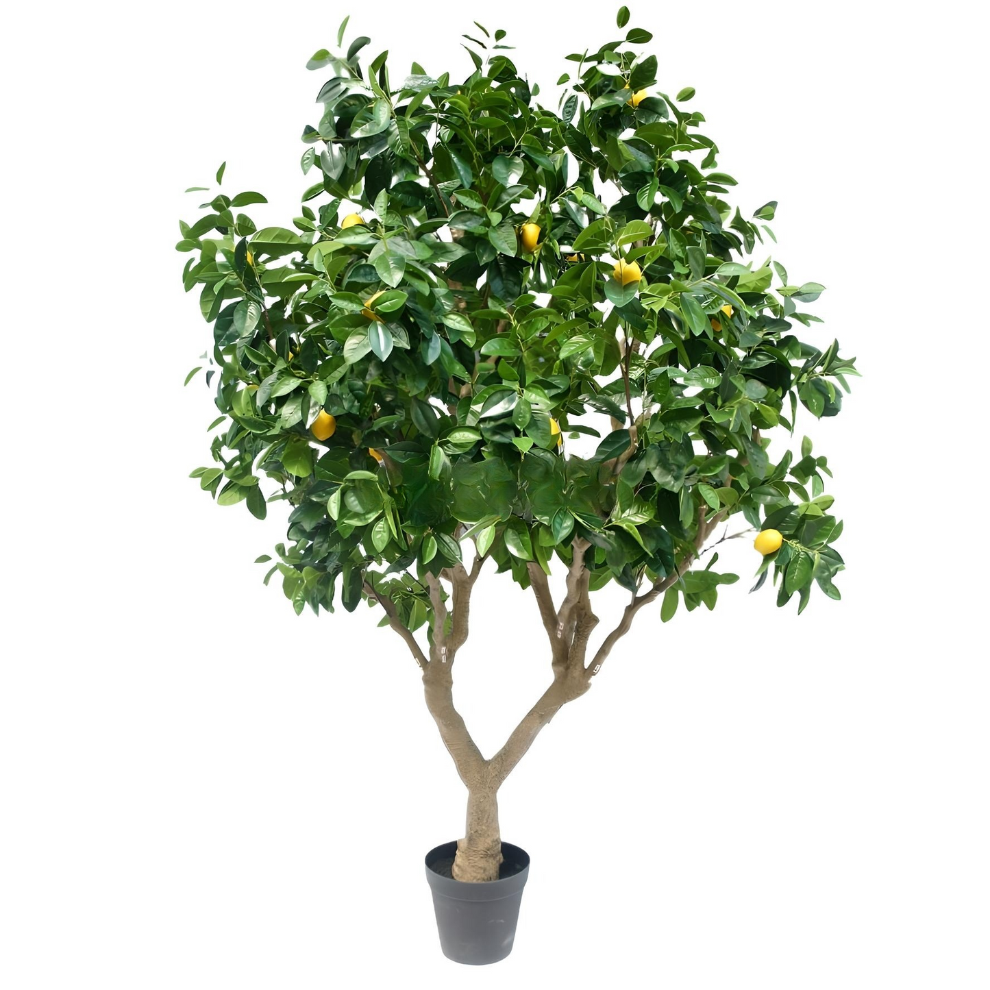 250CM Height Artificial Lemon Tree Indoor KD