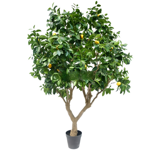 250CM Height Artificial Lemon Tree Indoor KD