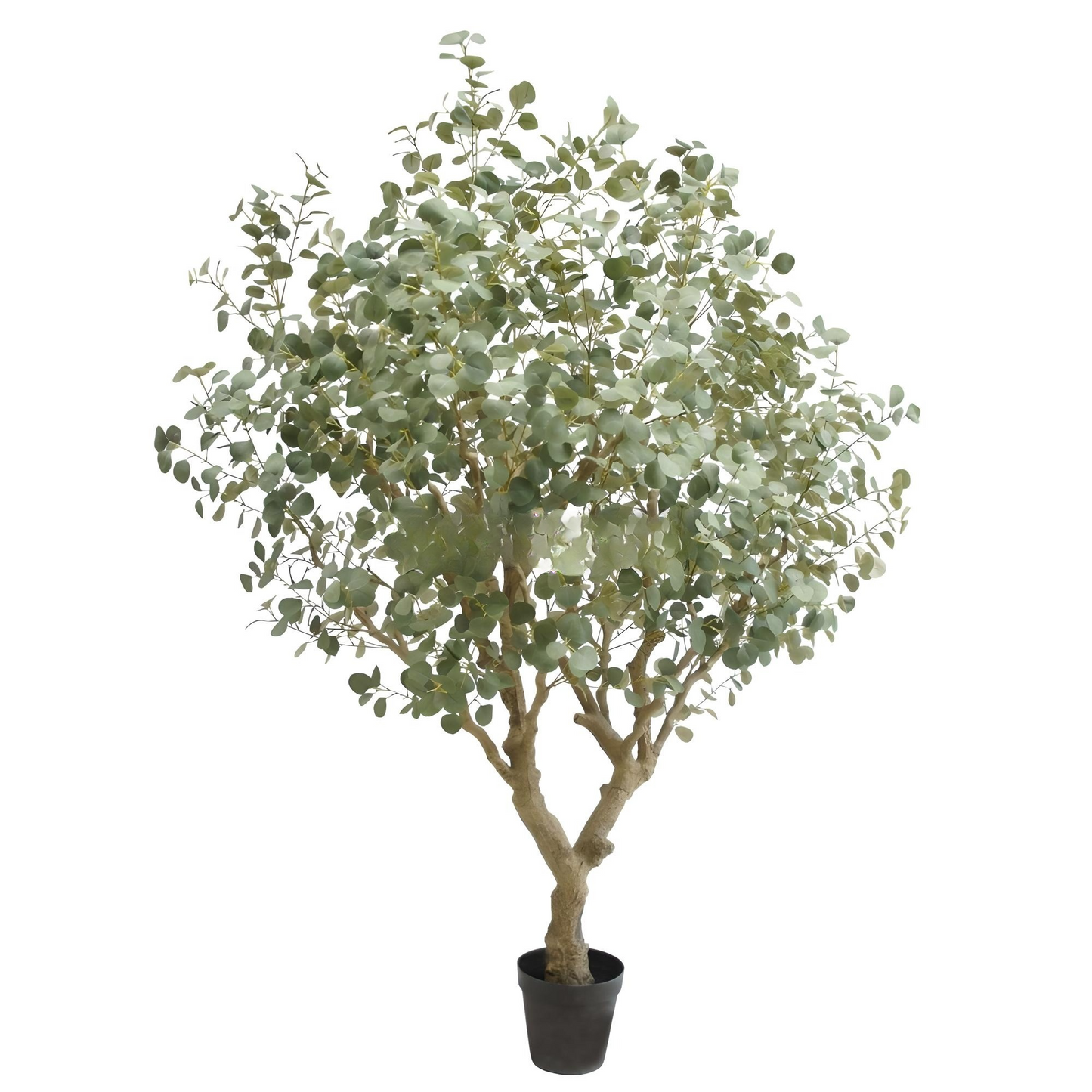 Artificial Eucalyptus