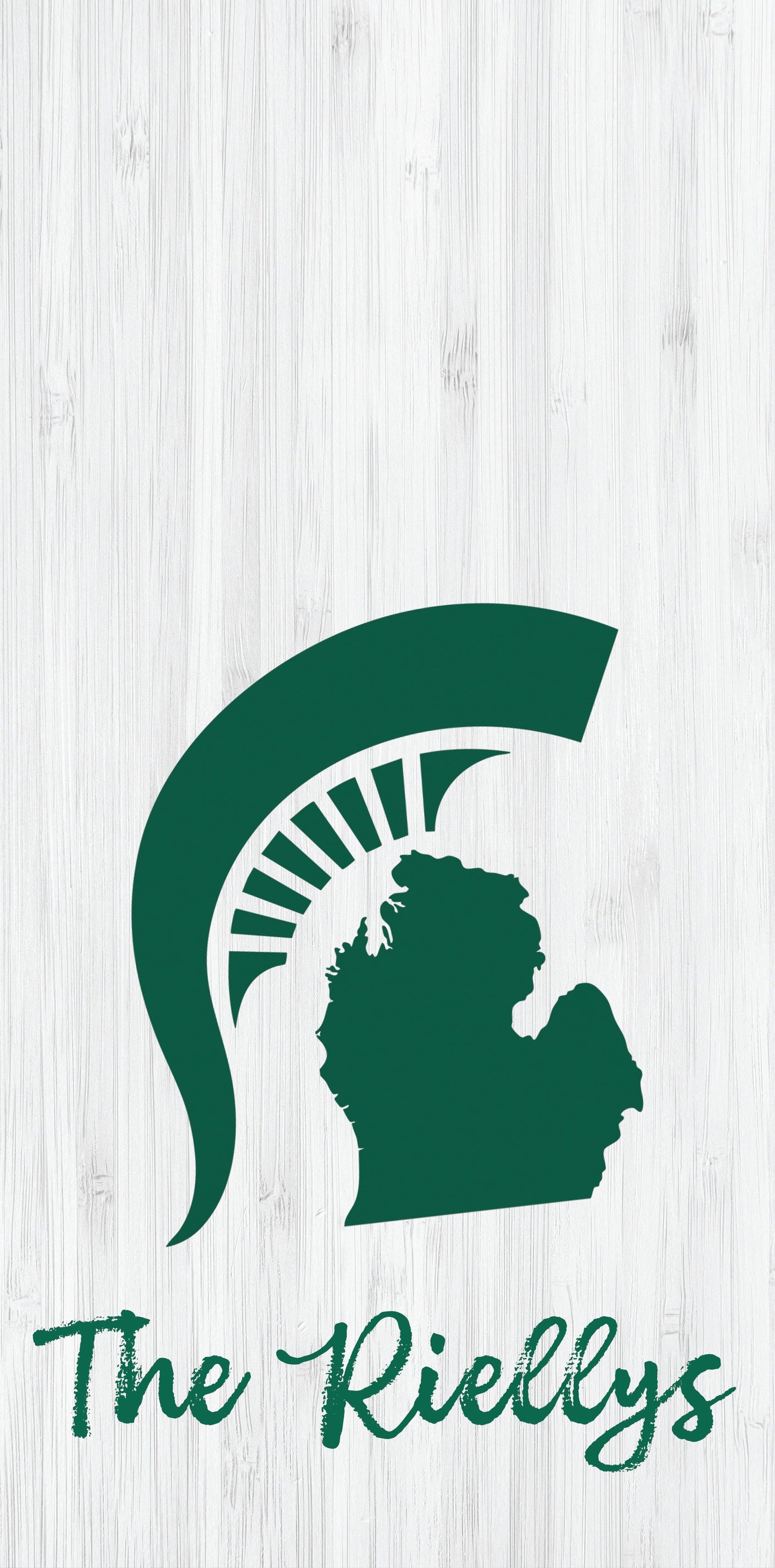 State of Michigan Custom Name Pro Style Cornhole Boards